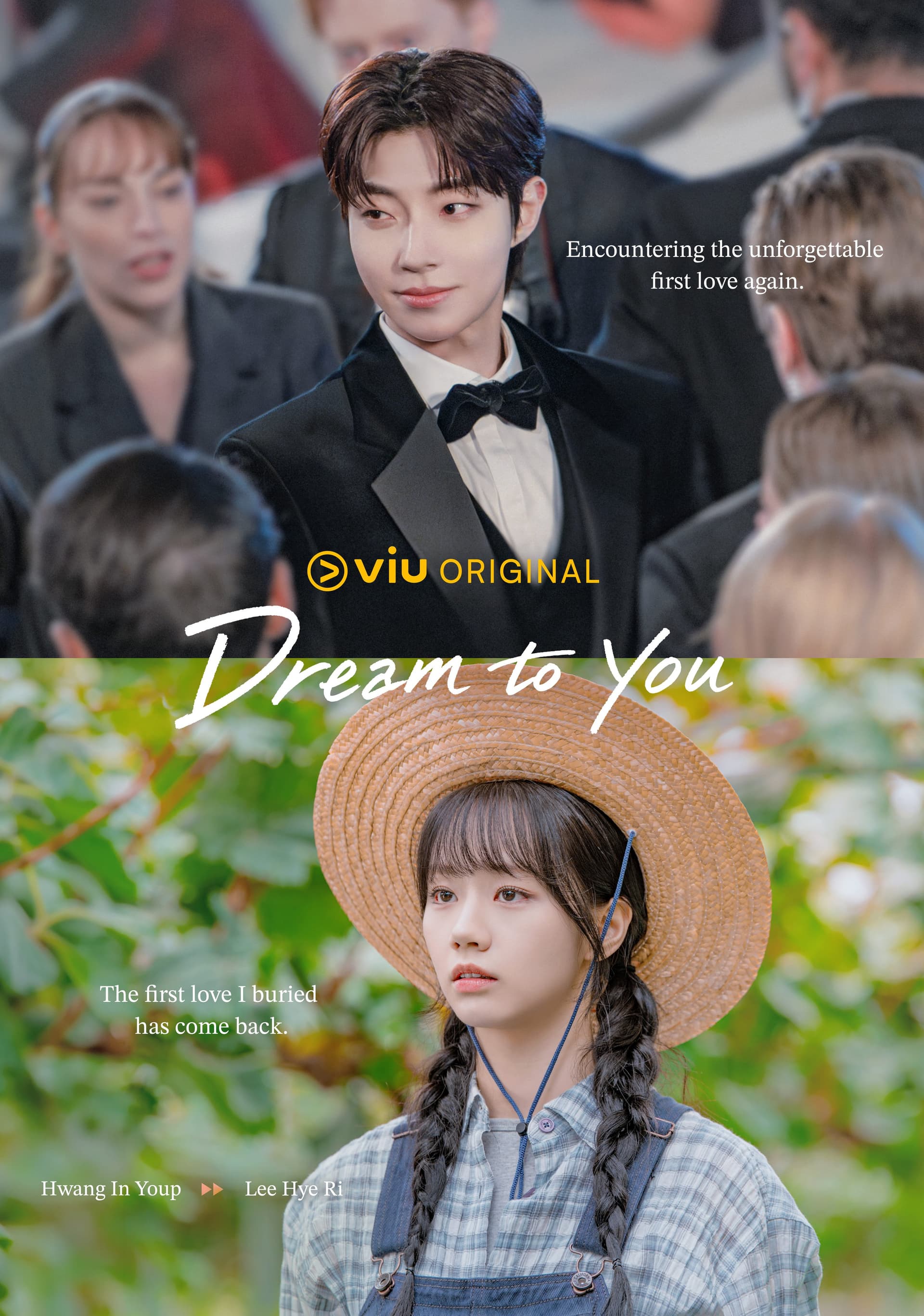 Dream to You